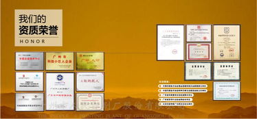 尼日利亚防伪证书设计印刷